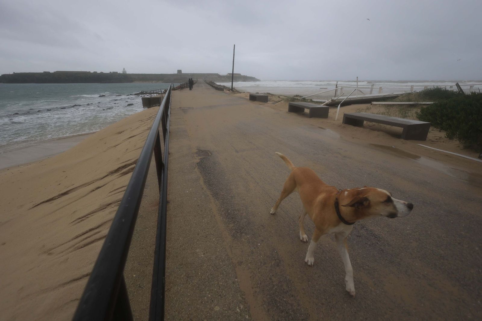 Fotos de los efectos de la borrasca Leonardo en Tarifa, Algeciras y Castellar