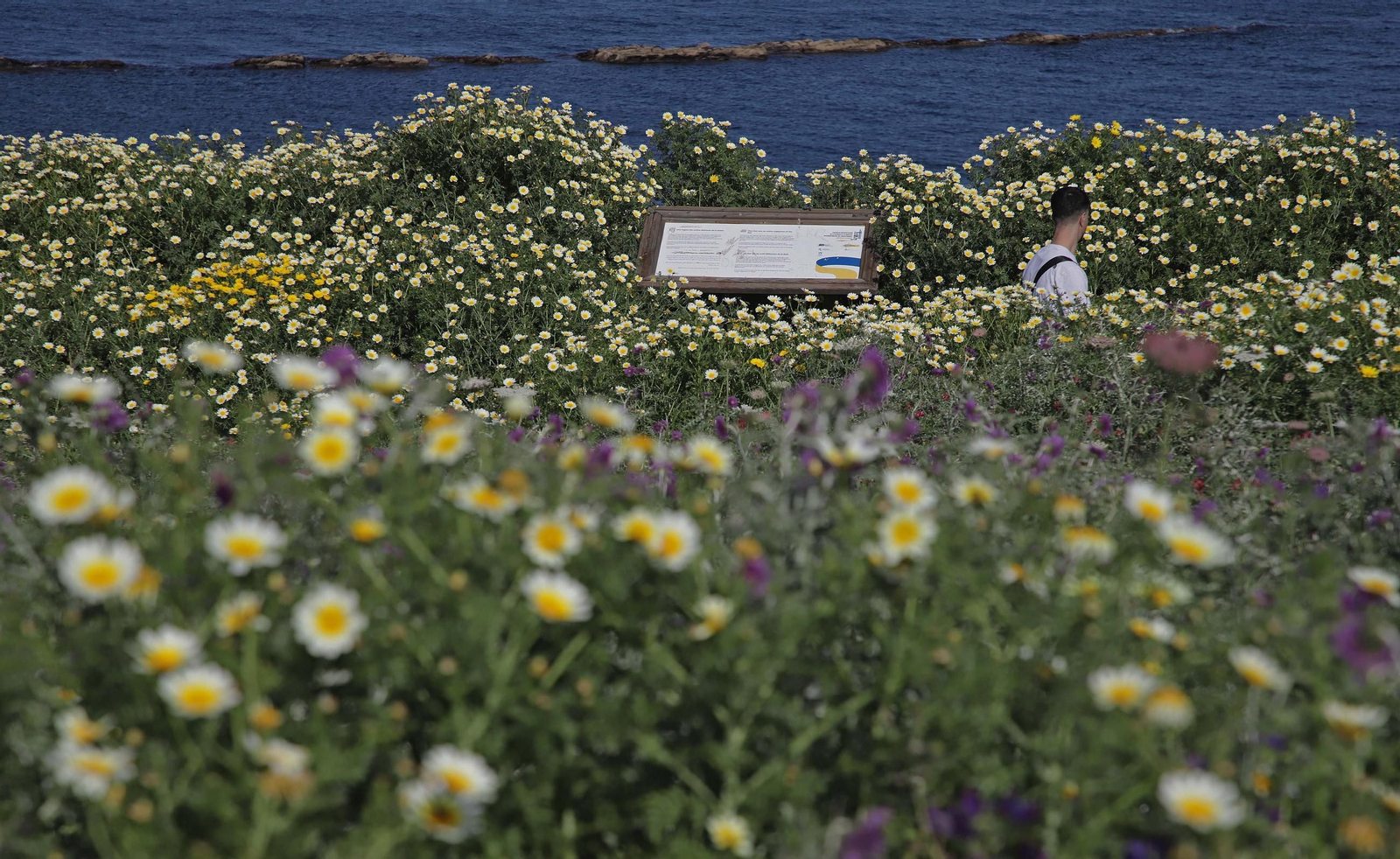 Fotos del estado de abandono del Parque del Centenario de Algeciras