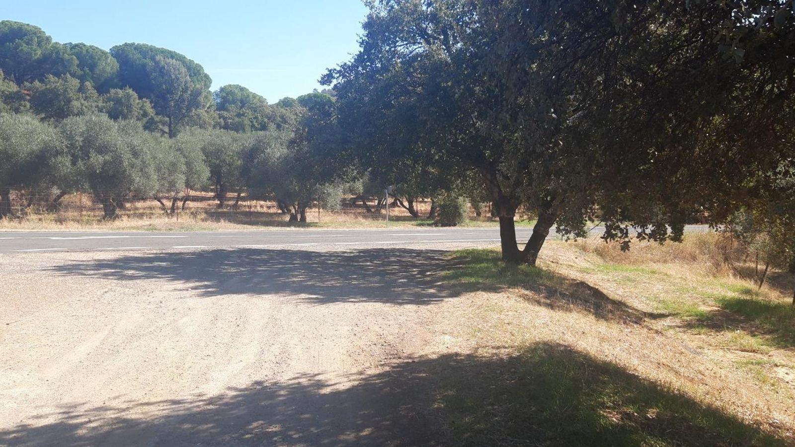 Nos reincorporamos a la carretera que lleva a El Pedroso.