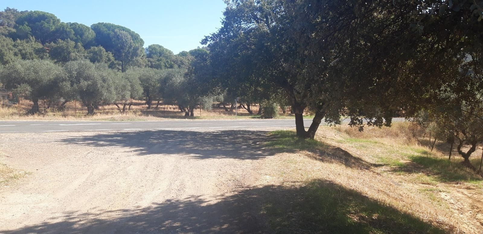 Nos reincorporamos a la carretera que lleva a El Pedroso.