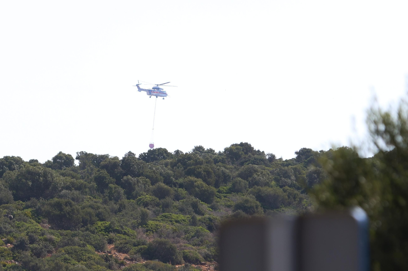 Las fotos de los efectos del incendio forestal en la Sierra de la Plata y Atlanterra, en Tarifa