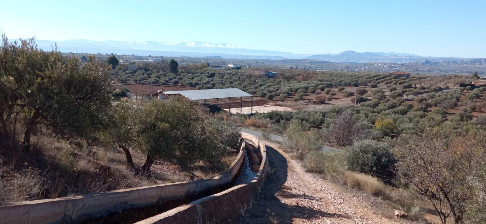 Las imágenes de la ruta del Bosque Encantado de Higueras