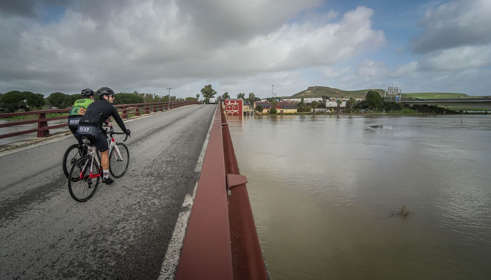 Un día tranquilo en el rio Guadalete, en imágenes