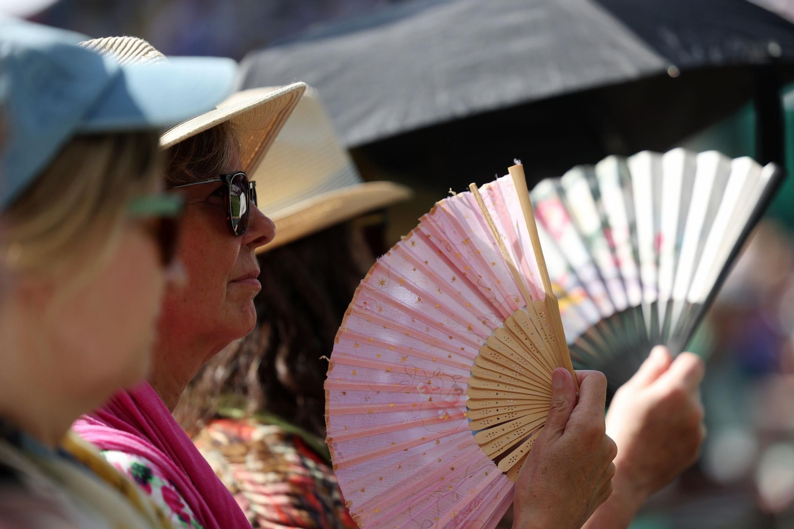 La primera jornada de Wimbledon (89).jpg