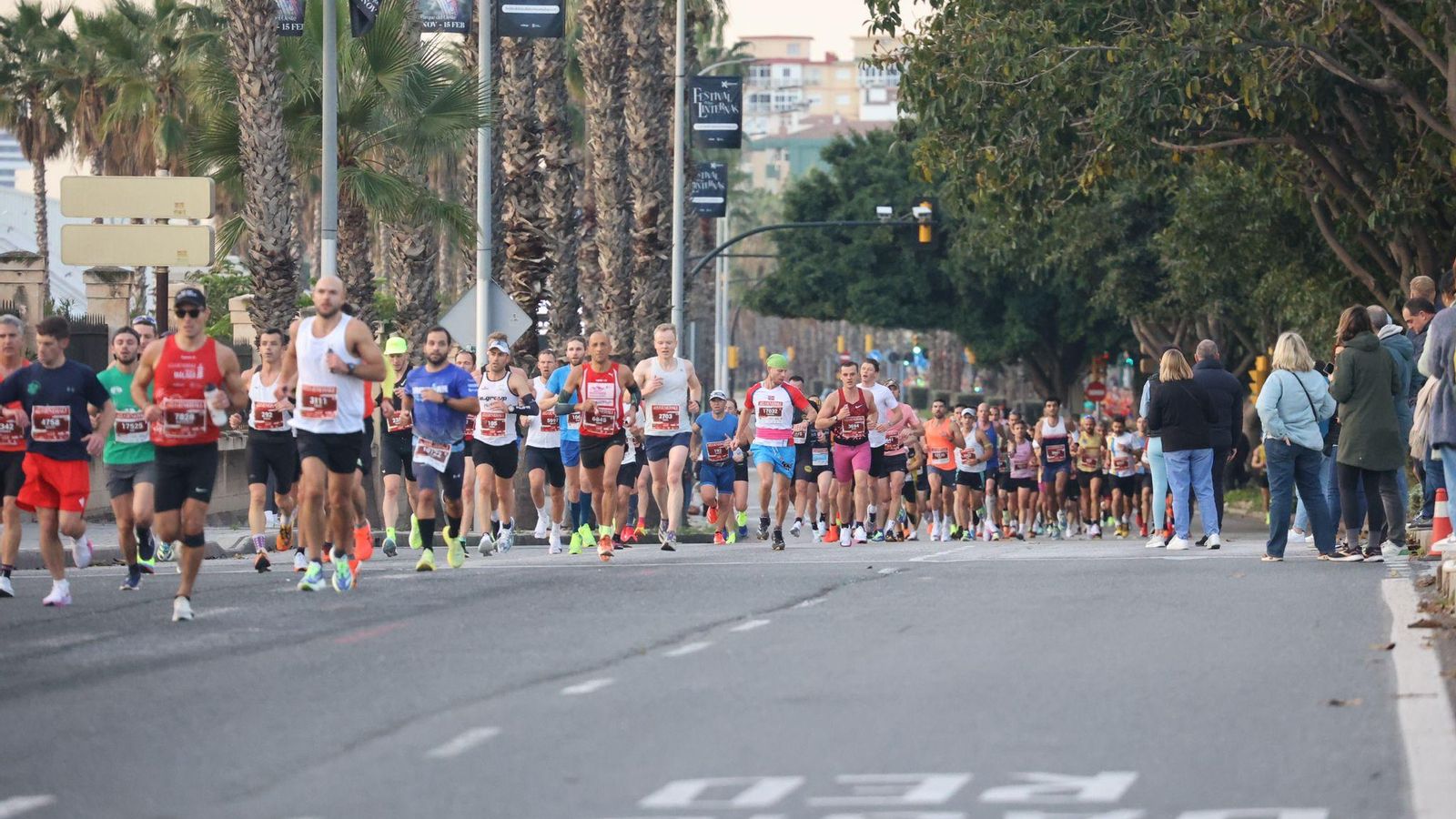 Las mejores fotos de la Maratón de Málaga 2024