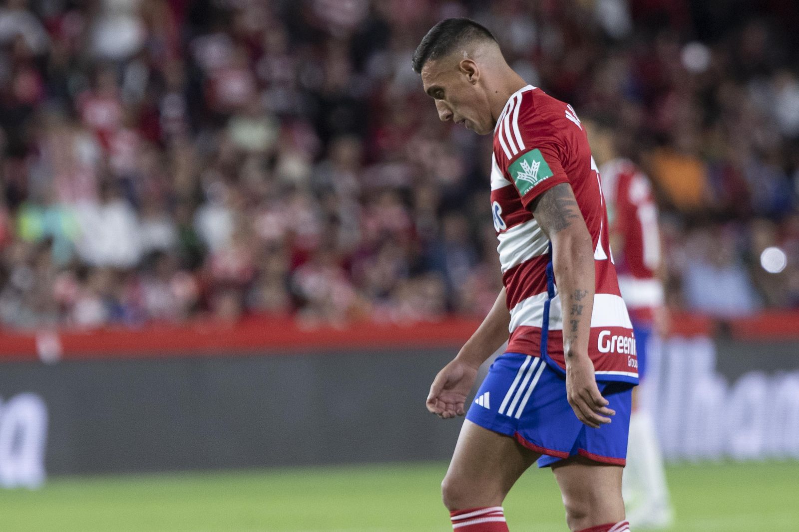 Las mejores imágenes del Granada CF - Girona FC