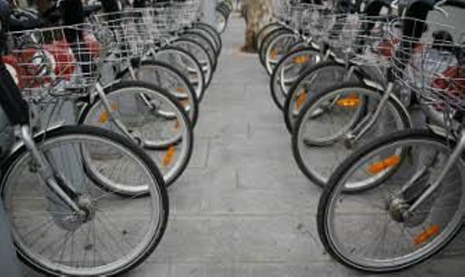 El PSOE lamenta que el PP se "desentienda" del vandalismo sobre Sevici