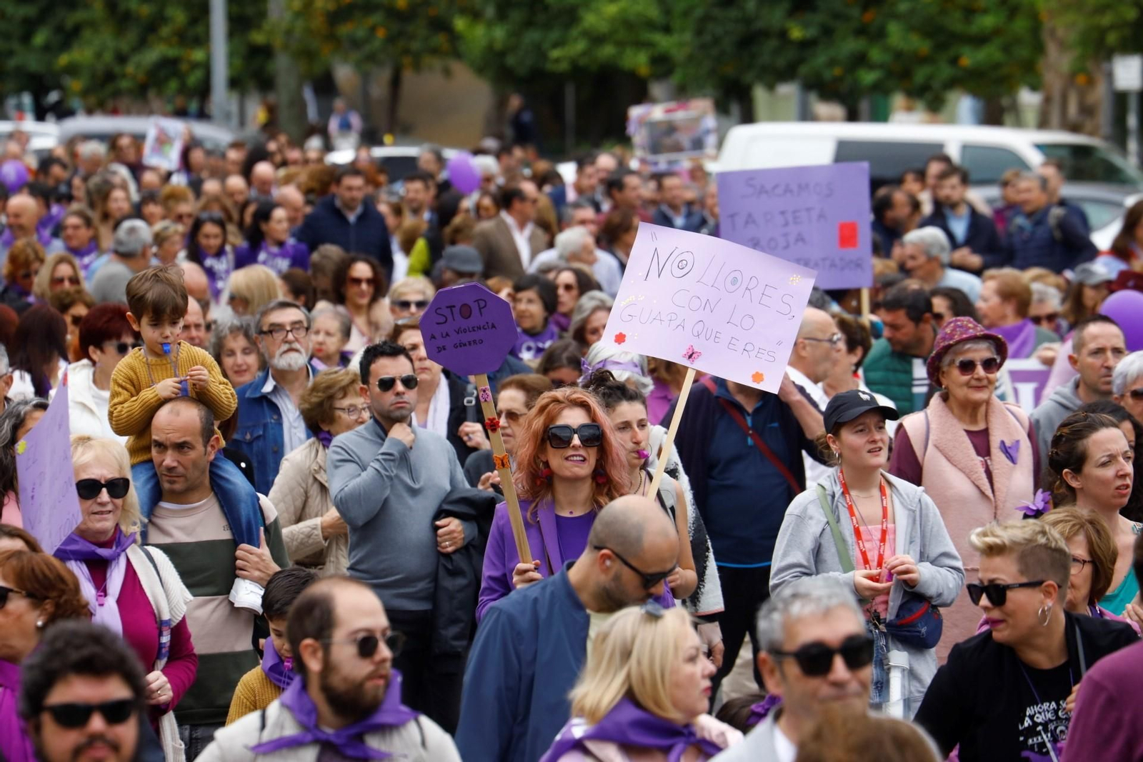 Asistentes a la manifestación del 25N en Córdoba del año pasado. Asistentes a la manifestación del 25N en Córdoba del año pasado.