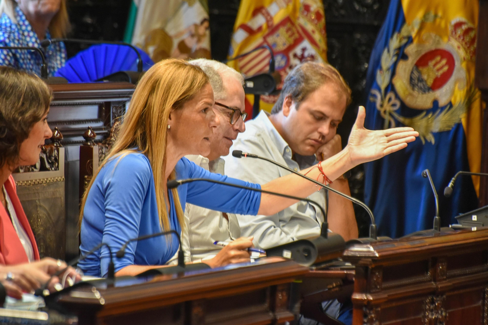 María Solanes, delegada de Hacienda, durante un pleno. María Solanes, delegada de Hacienda, durante un pleno.