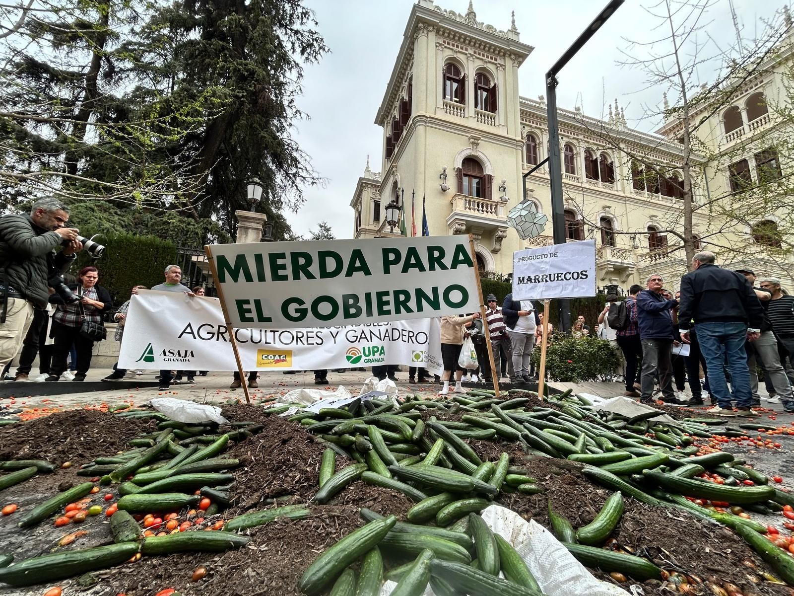 Las mejores fotos de la tractorada de Granada de este Viernes de Dolores