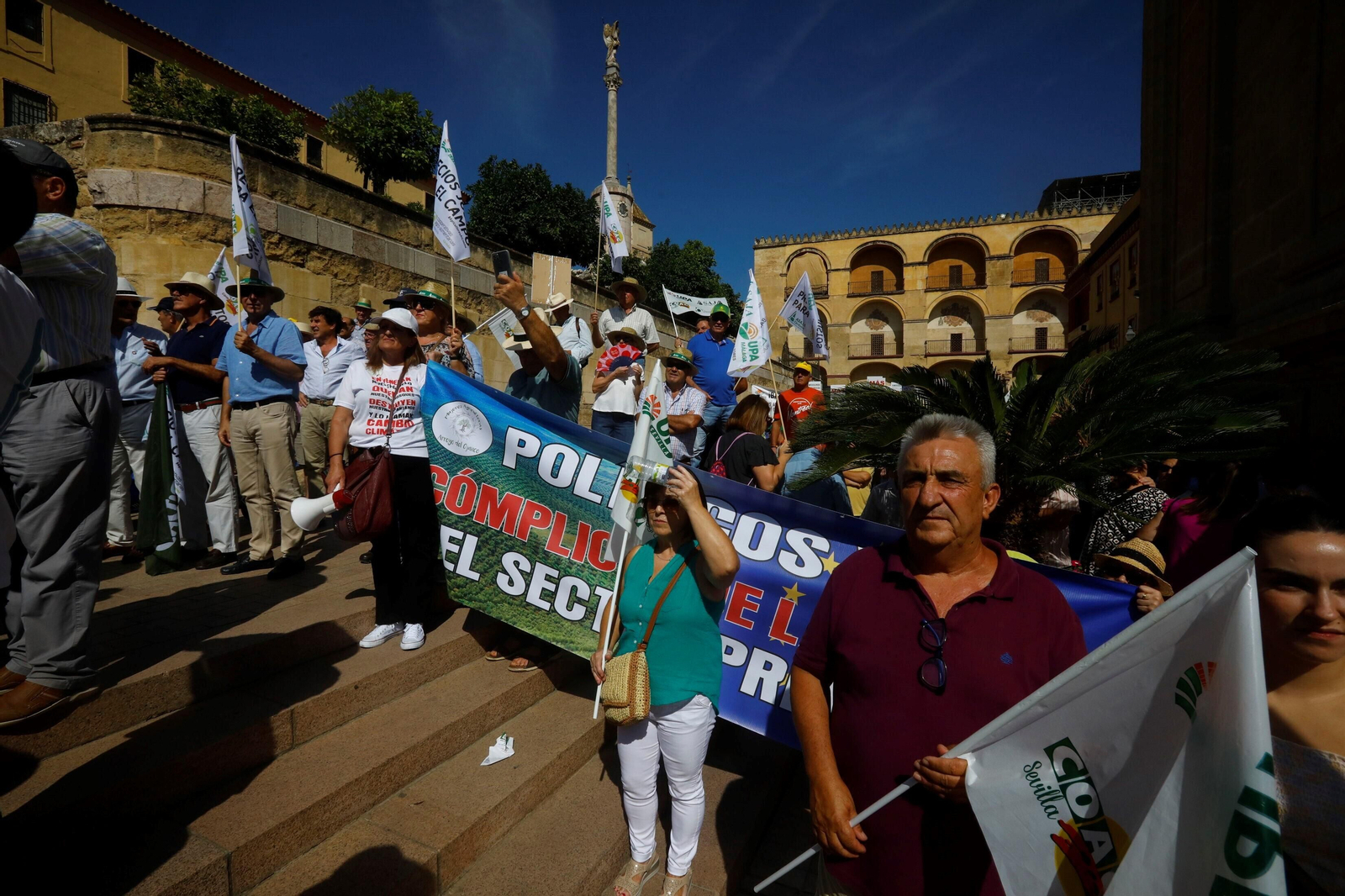 La protesta del sector agrario contra las políticas de la UE en Córdoba, en imágenes
