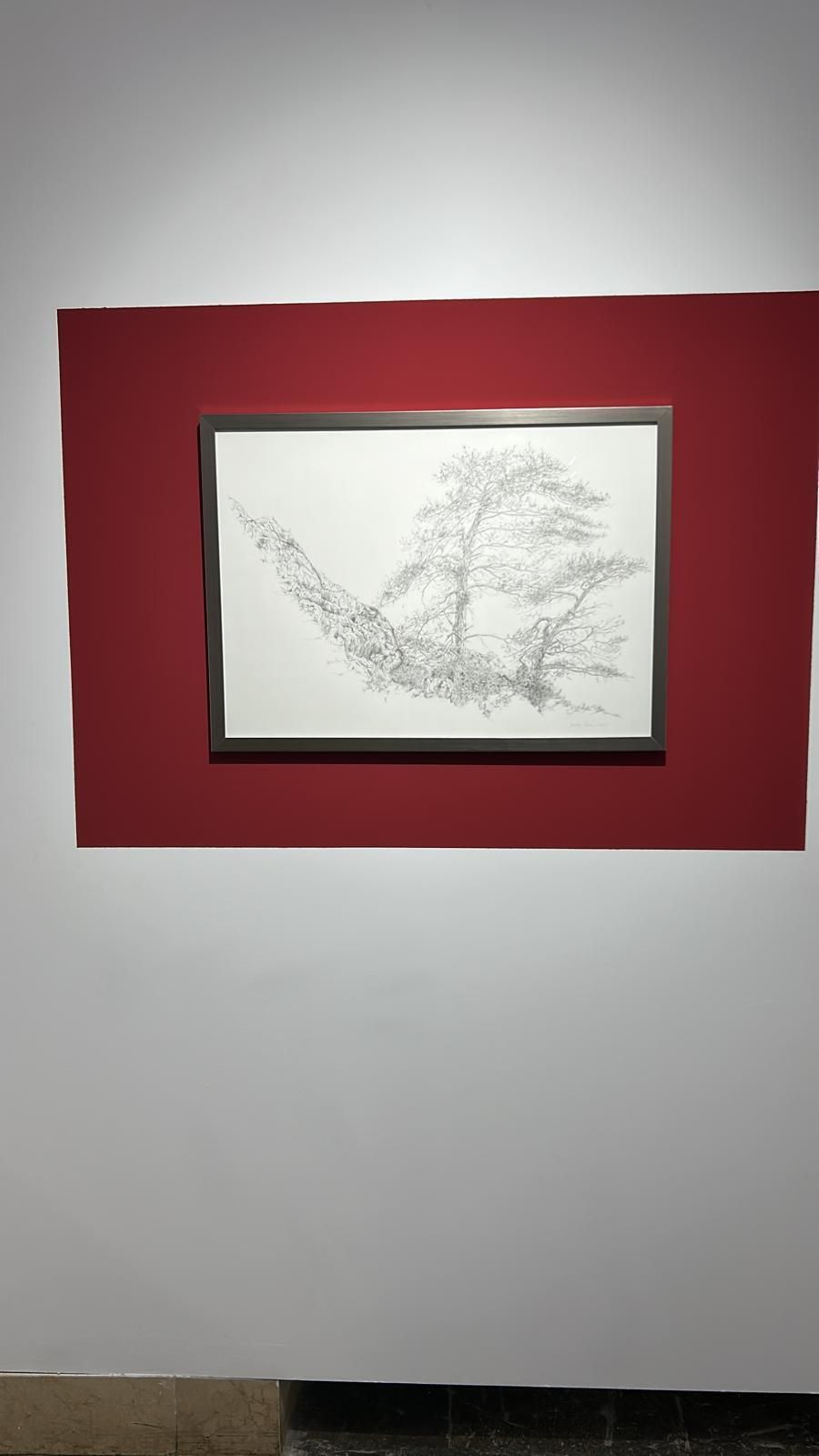 Obra de Javier Velasco. Obra de Javier Velasco.