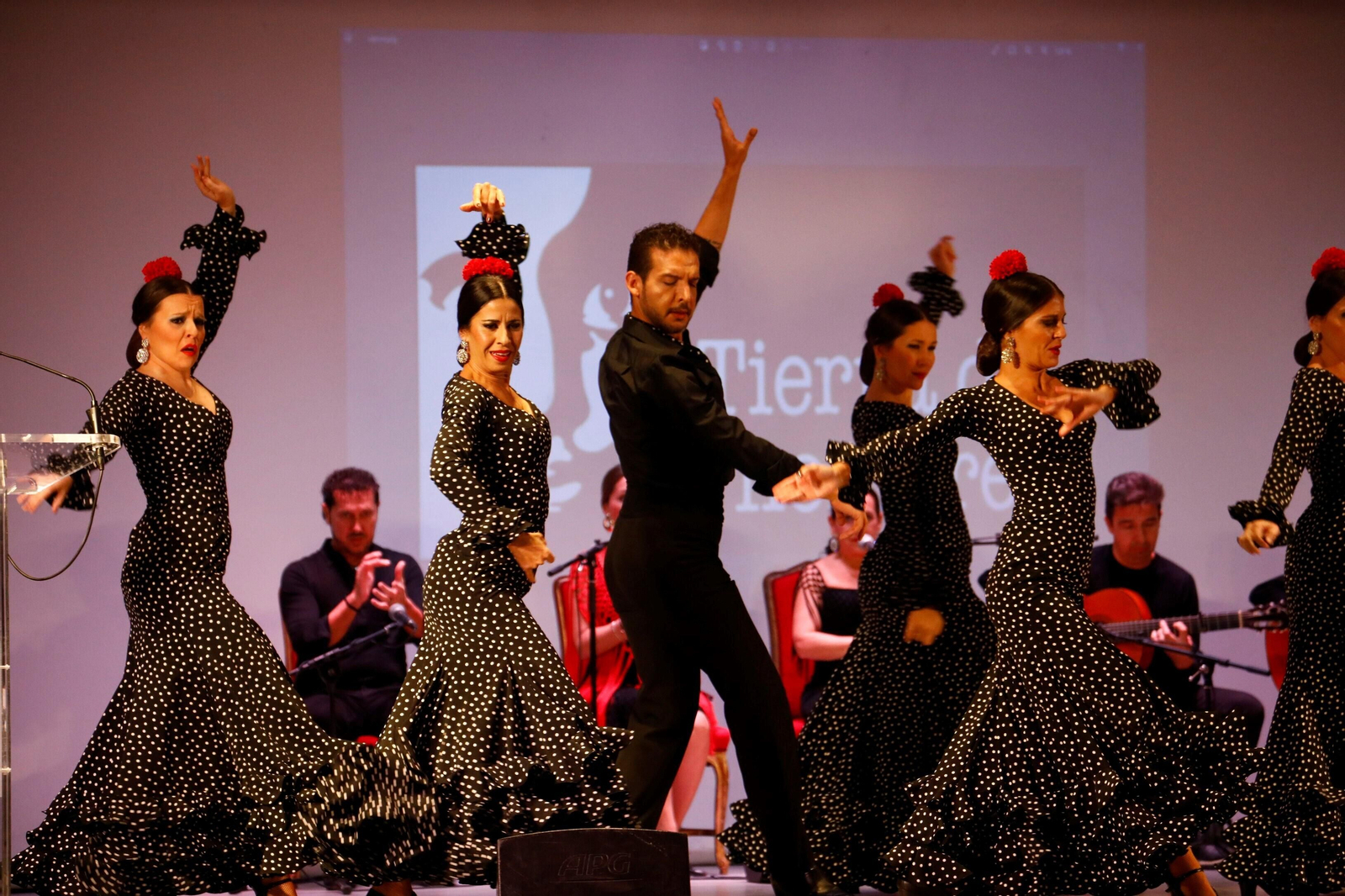 El Encuentro de Escuelas de Baile de Córdoba, en imágenes