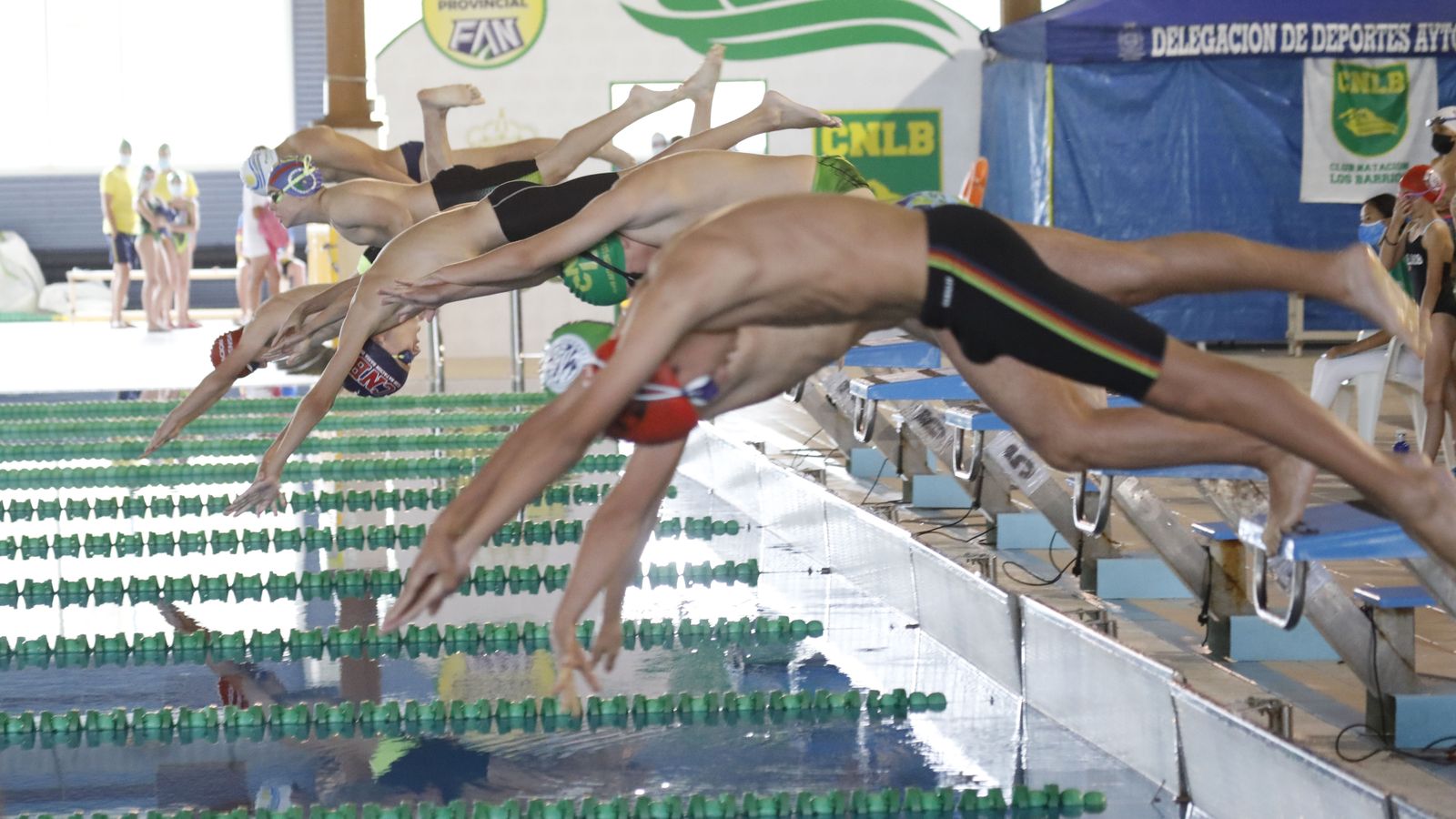 Las fotos del torneo de natación en Los Barrios