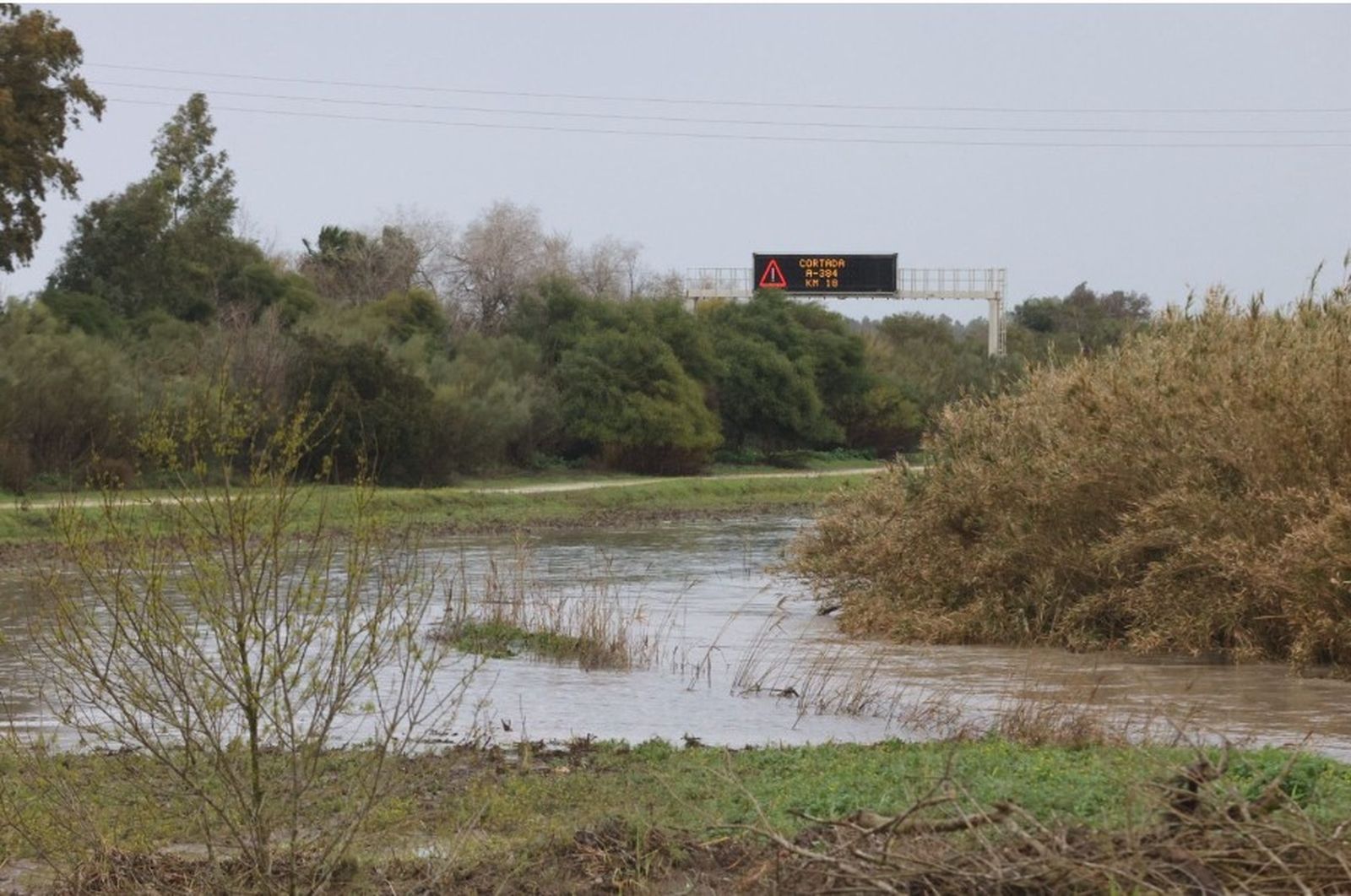 Arroyo Salado a su paso por Estella.