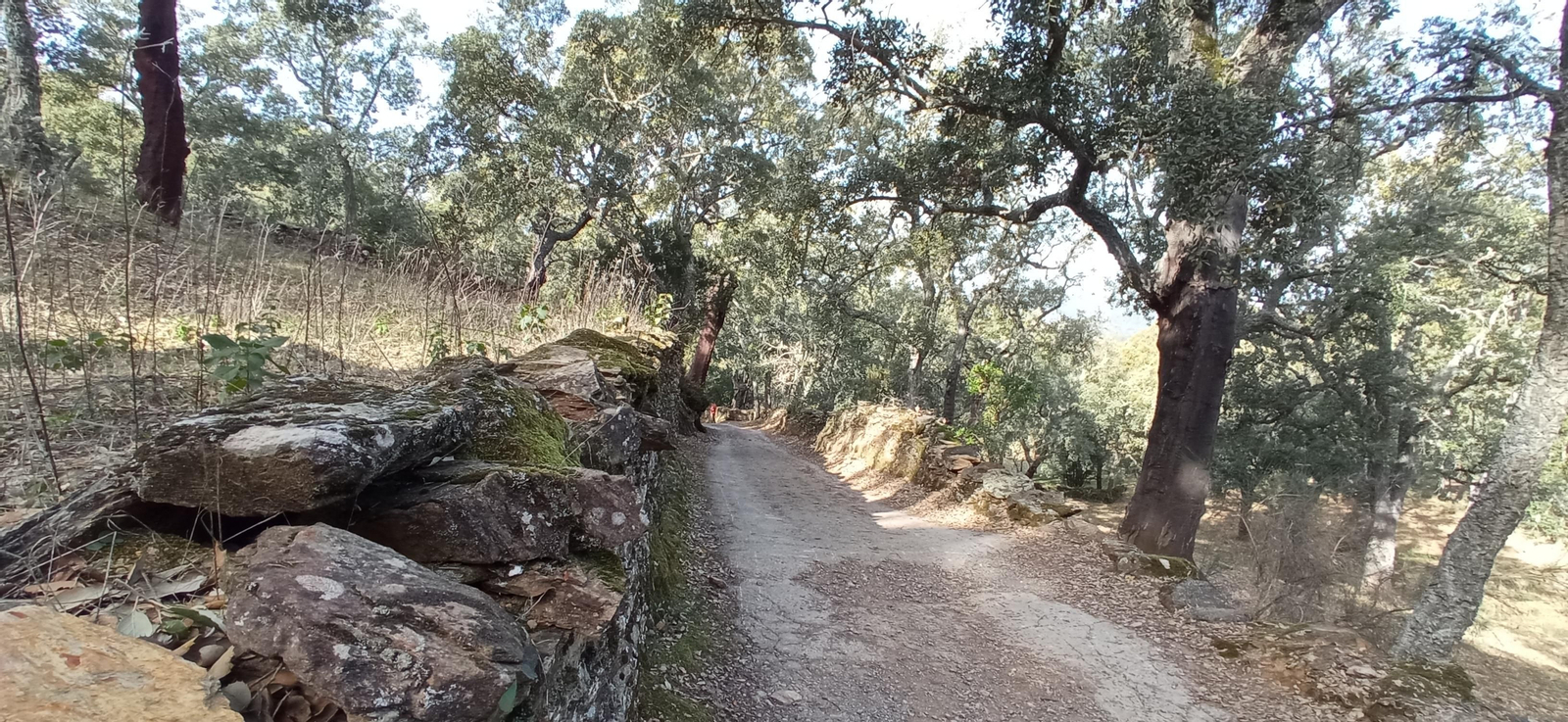 Las imágenes de la ruta de la Dehesa de Valdelama: De Los Marines a Fuenteheridos y vuelta