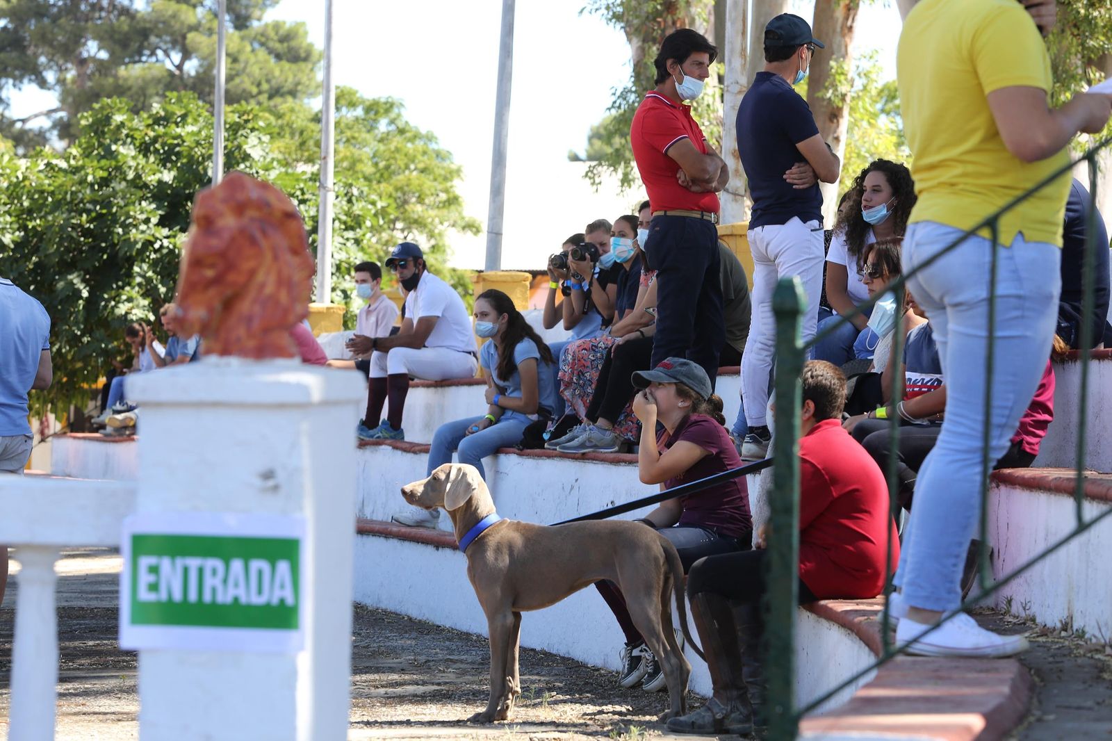El concurso de doma reabre Sementales