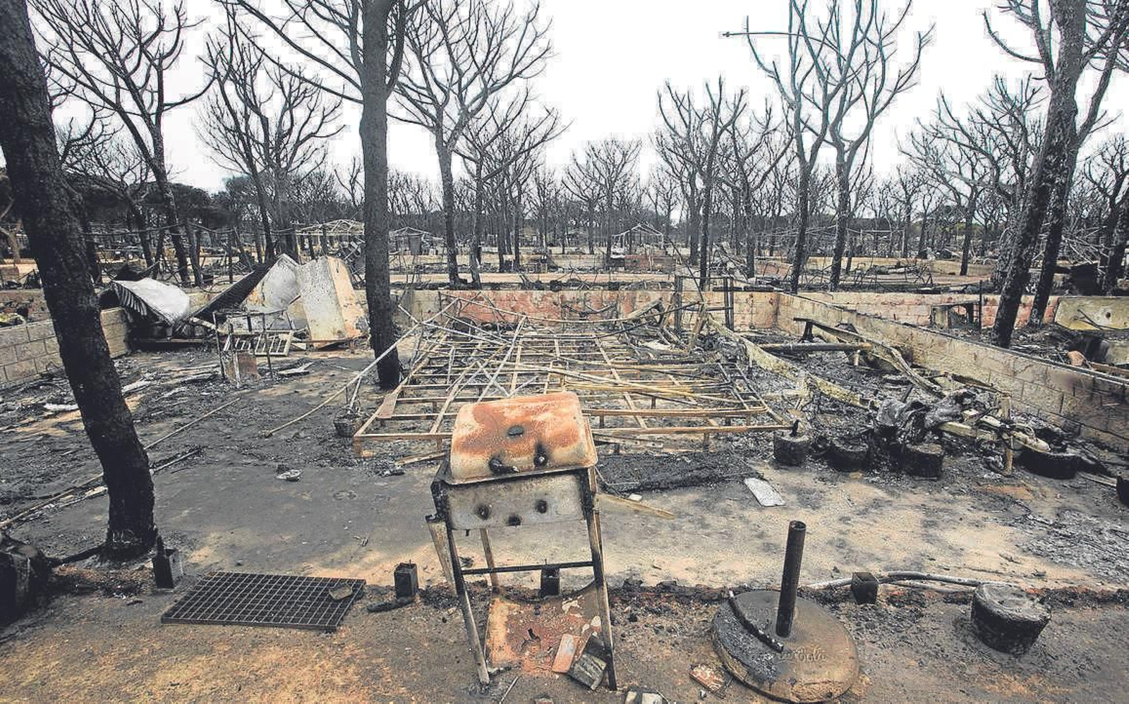 Doñana: 50 años de equilibrio y otras amenazas