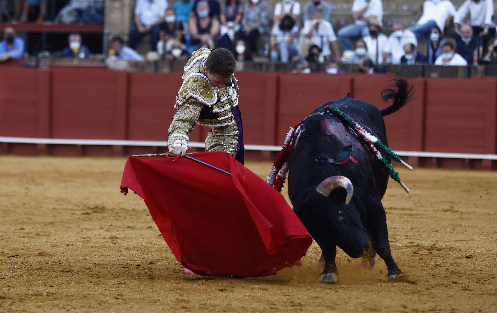 Fotos de la segunda novillada de la feria de San Miguel de Sevilla