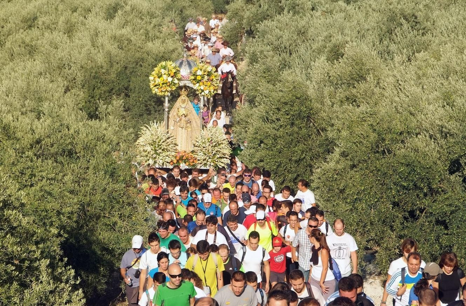 La Virgen de la Sierra procesiona por un olivar.