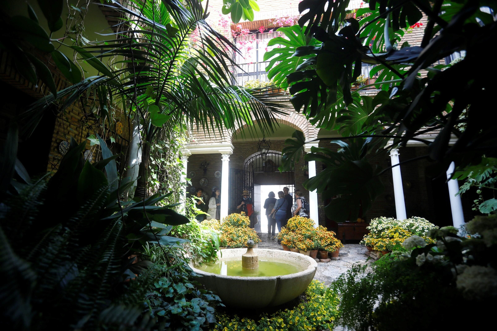 Los patios de Córdoba de la ruta Judería-San Francisco, en imágenes
