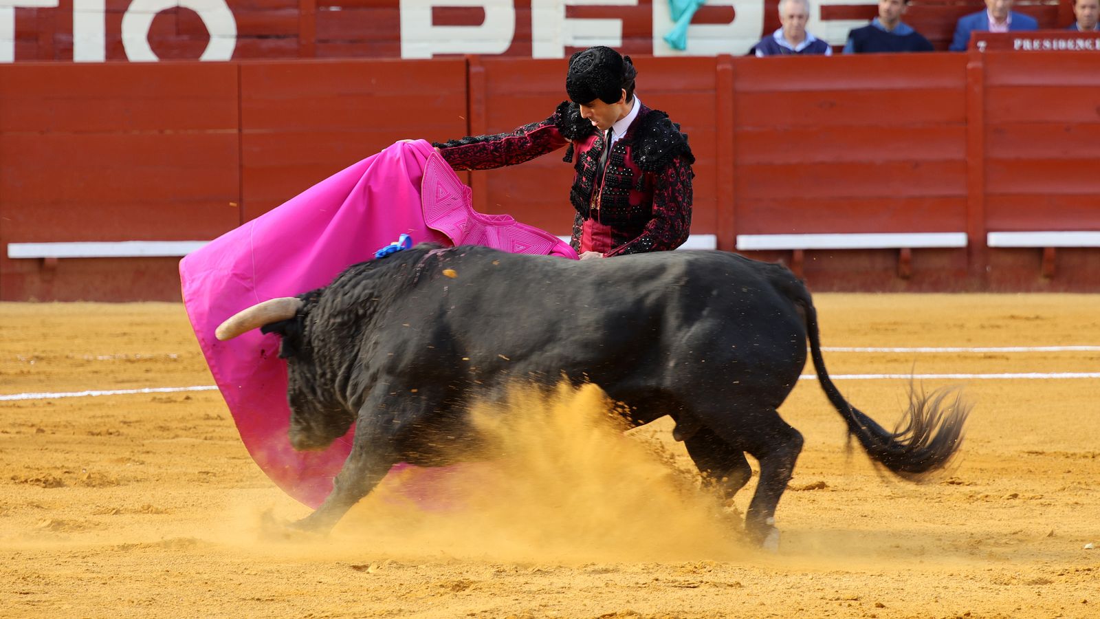 Tercera tarde de toros y última de la Feria de Jerez con Morante, Juan Ortega y Roca Rey