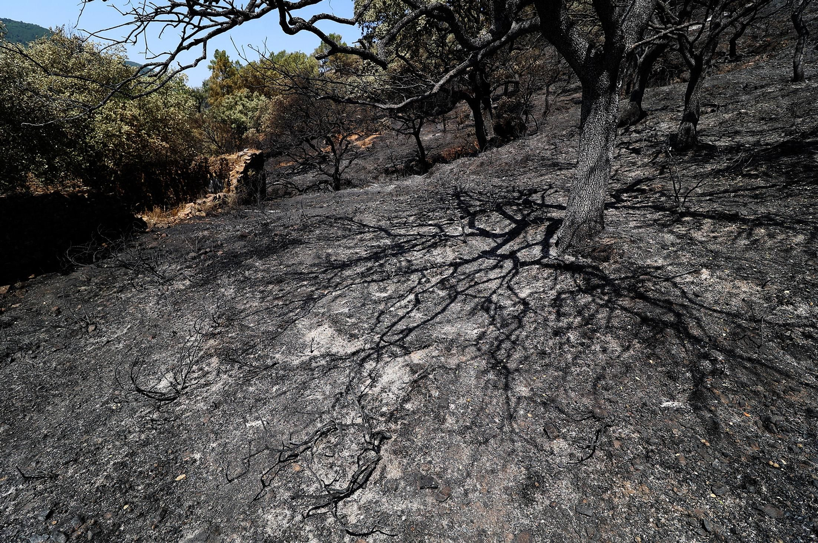 Imágenes de los vecinos de Los Romeros ya en sus casas tras el incendio