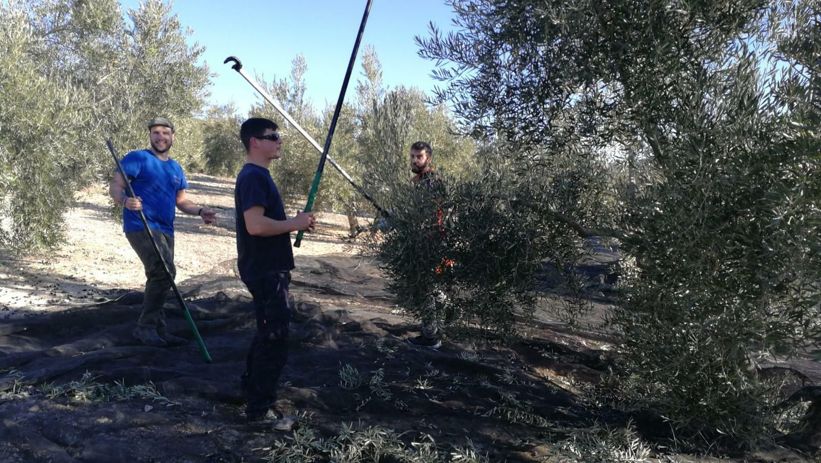 Jornaleros en el campo de Píñar