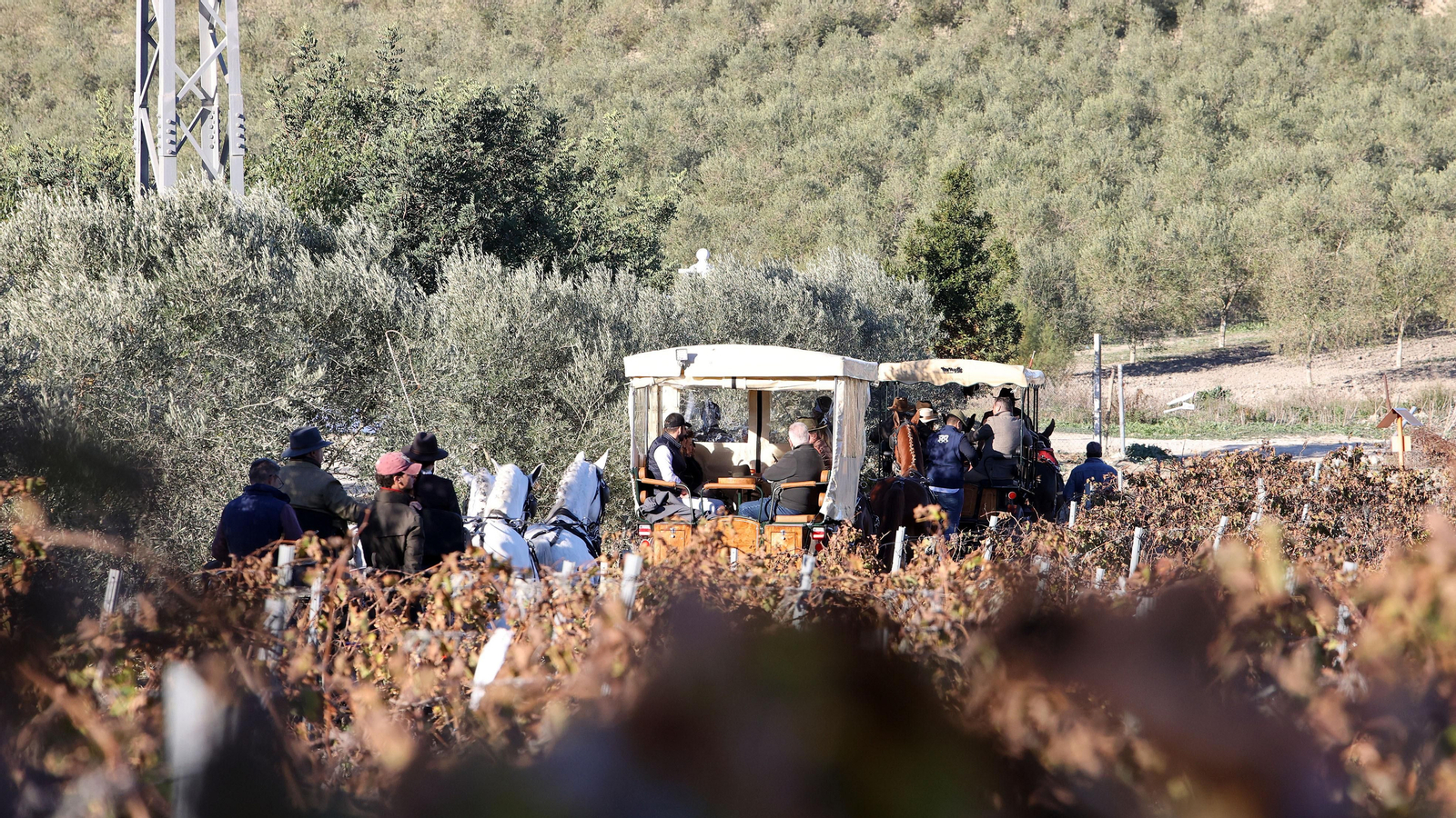 II Ruta Viñas de Jerez