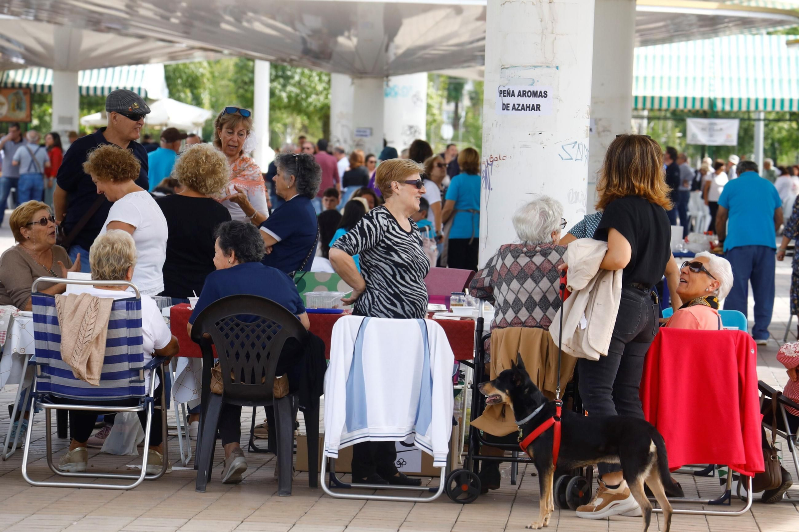 Las peñas celebran su tradicional perol en las Setas, en imágenes