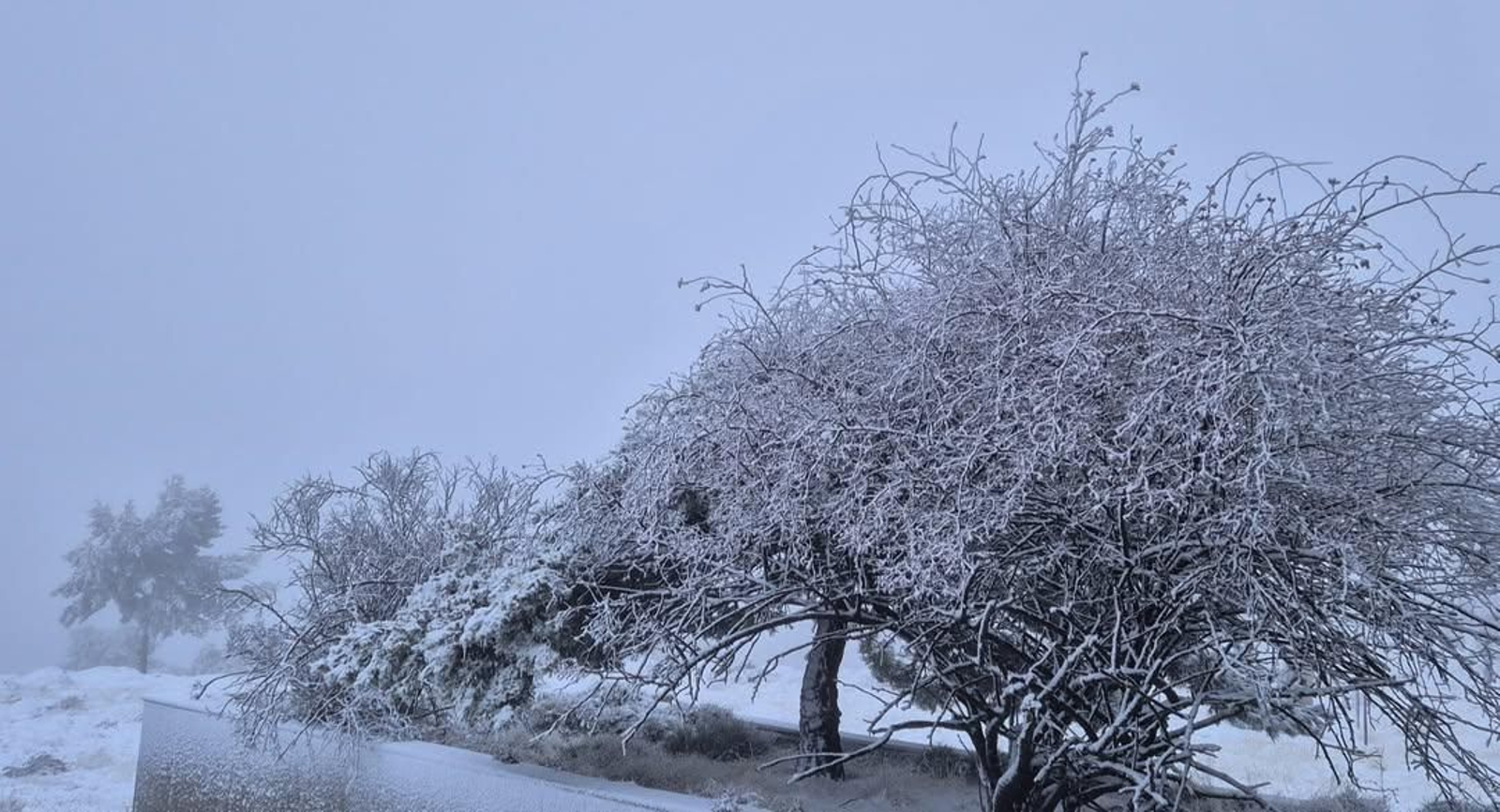 ❄️ El observatorio se viste de invierno con unos 4 cm de nieve- un paisaje de postal que quita e (3)