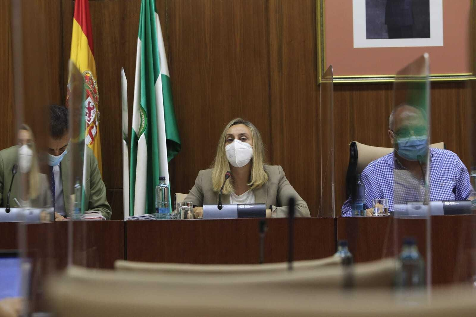 Intervención de la consejera Carazo en la comisión de Fomento del Parlamento Andaluz. Intervención de la consejera Carazo en la comisión de Fomento del Parlamento Andaluz.