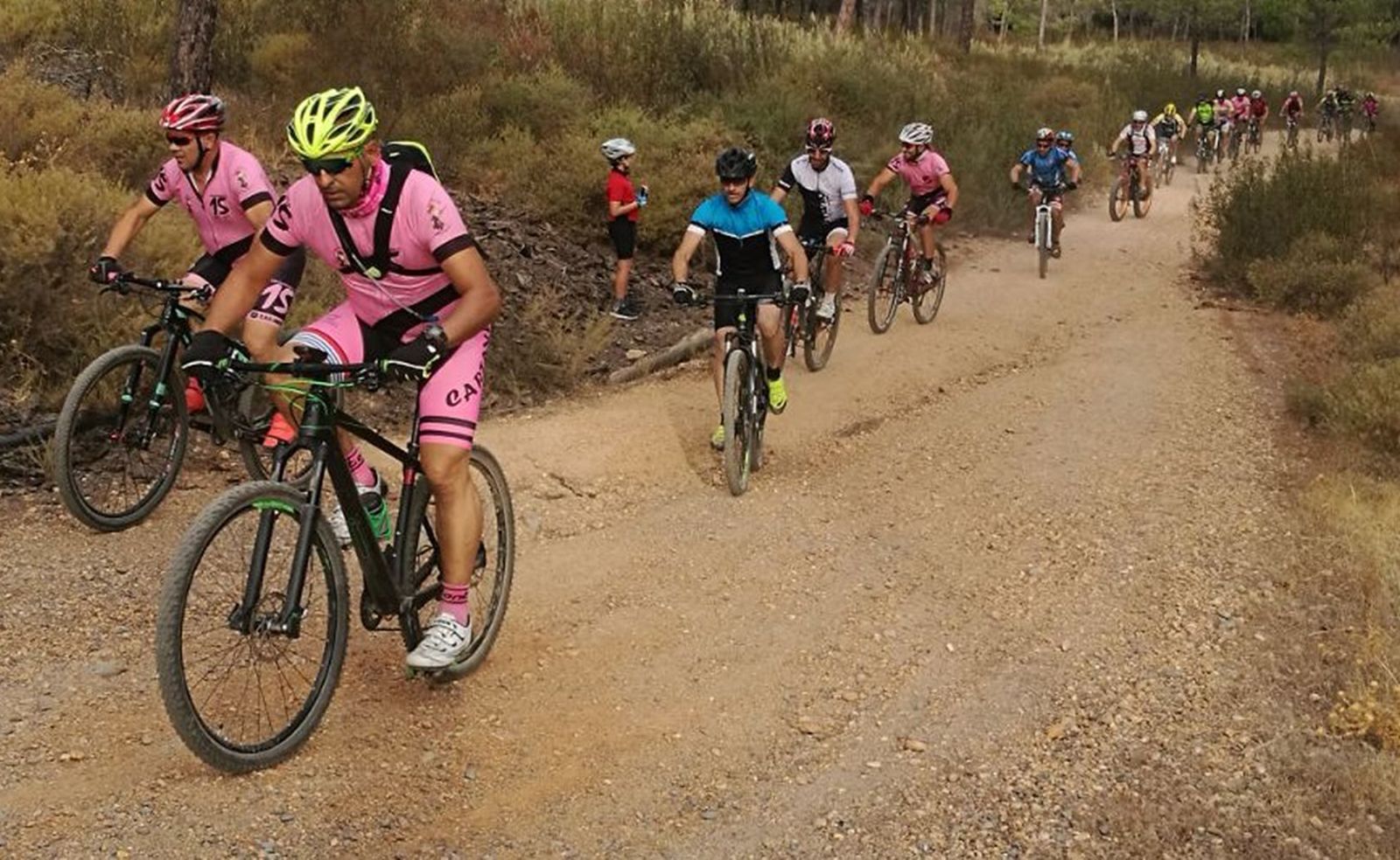 Un grupo de ciclistas durante una ruta.