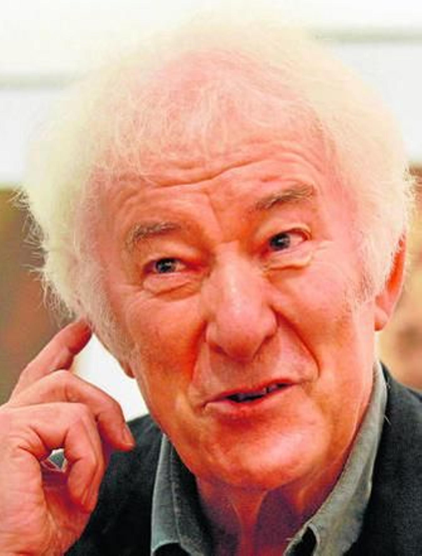 Seamus Heaney, fotografiado en una visita a Córdoba en 2008.