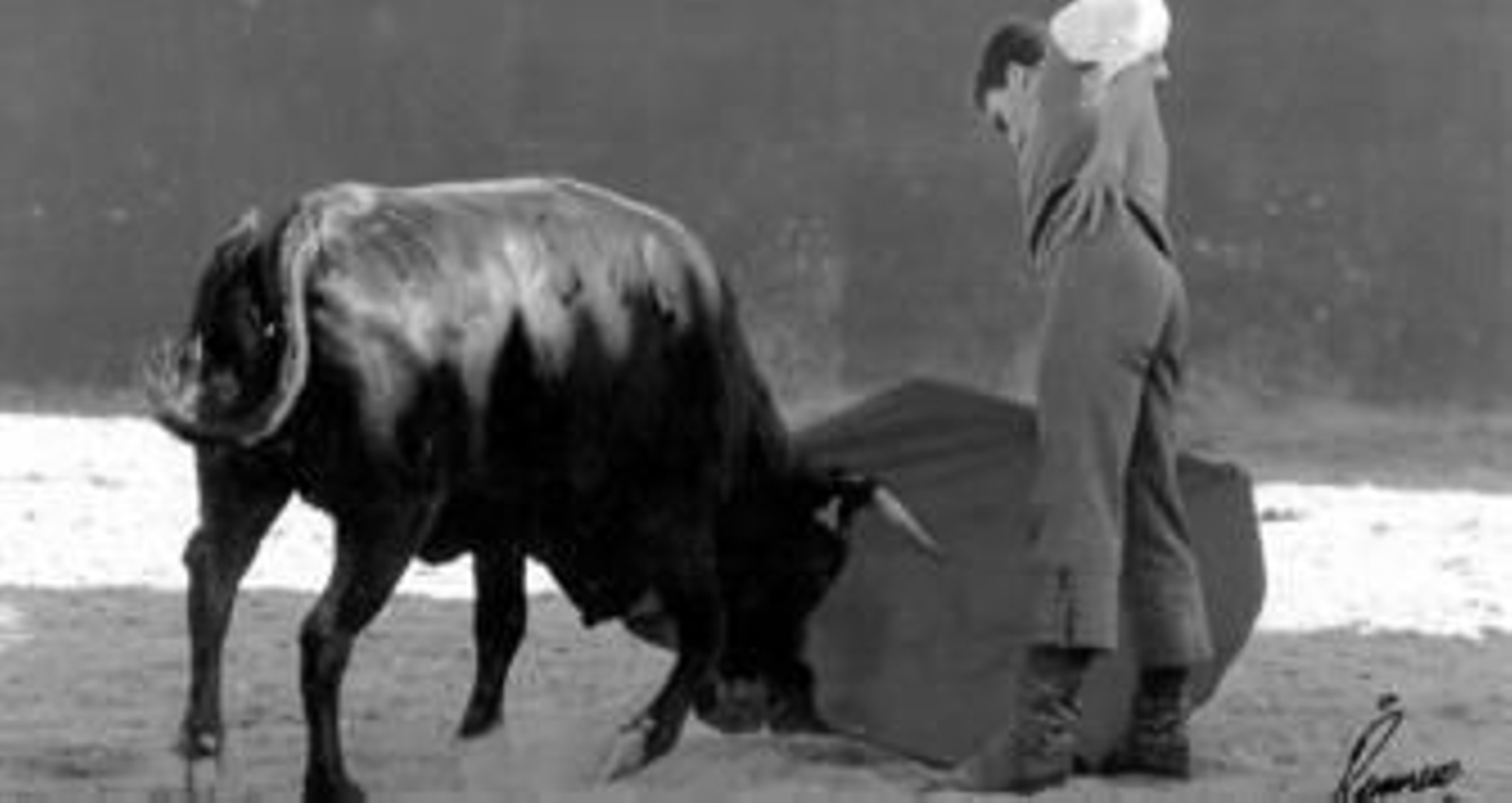 En la espléndida foto de Romero, Octavio Chacón tentando en 'El Navazo', de José Luis Sánchez y Sánchez, una vaca del hierro de 'Montesdeoca.'
