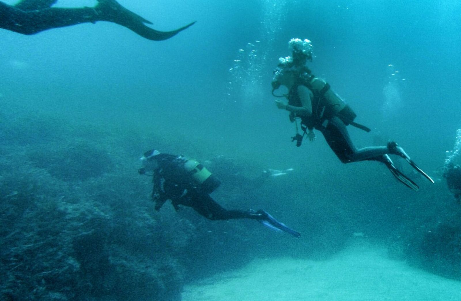 Será una inmersión muy especial en un rincón con mucho encanto.