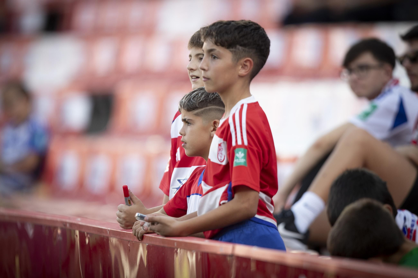 Encuéntrate en la grada del Nuevo Los Cármenes