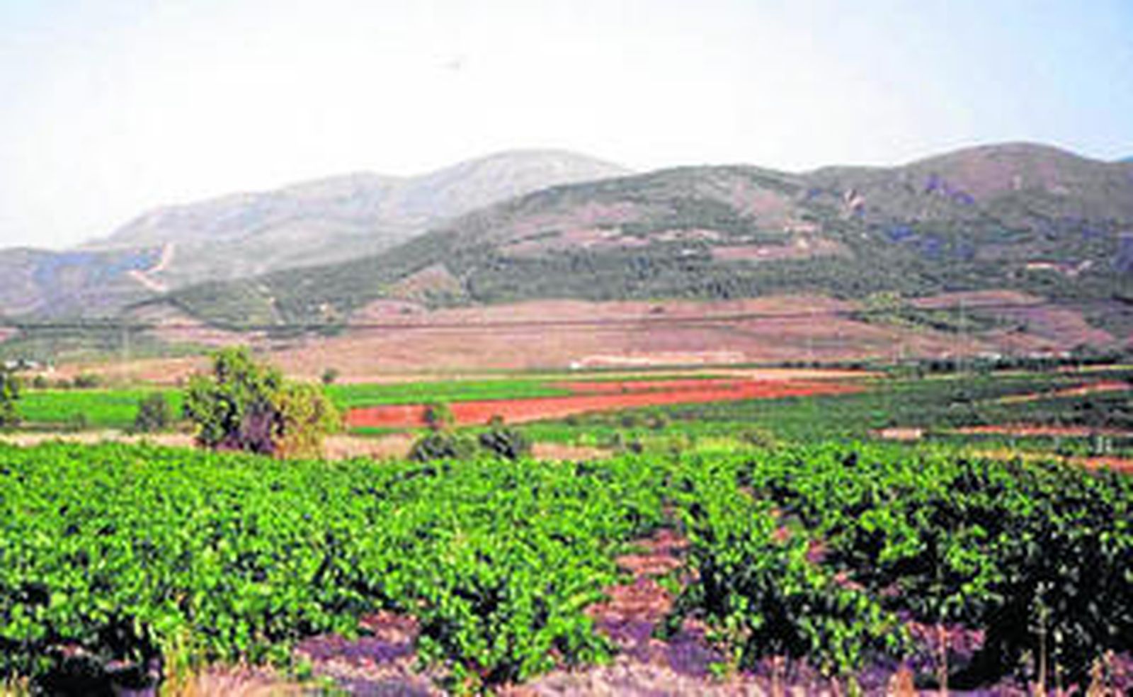 Las herencias en el espacio social/ agrario en la época de Münzer