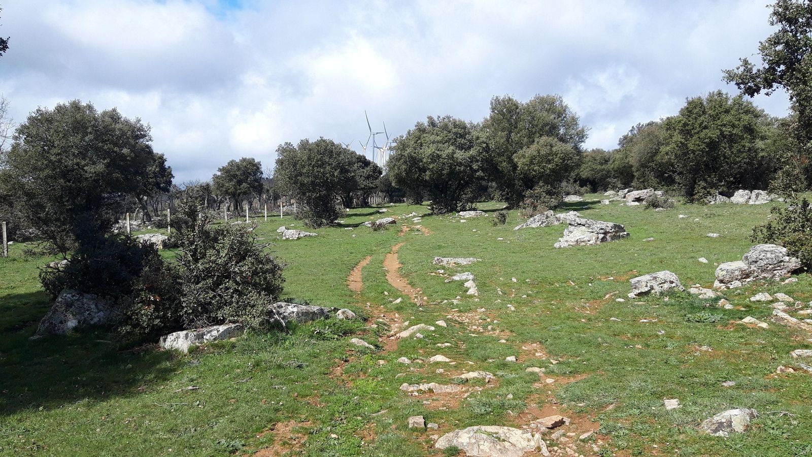 Ascenso al Pico de la Dueña. Hay partes con el camino poco definido, pero el ascenso es claro.