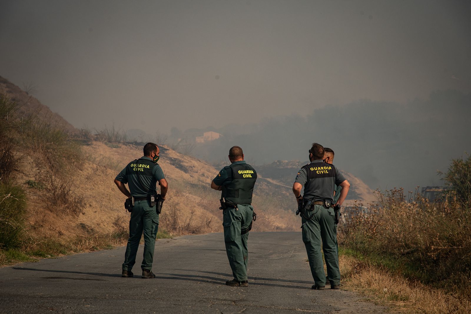 El incendio de Lucena del Puerto en imágenes