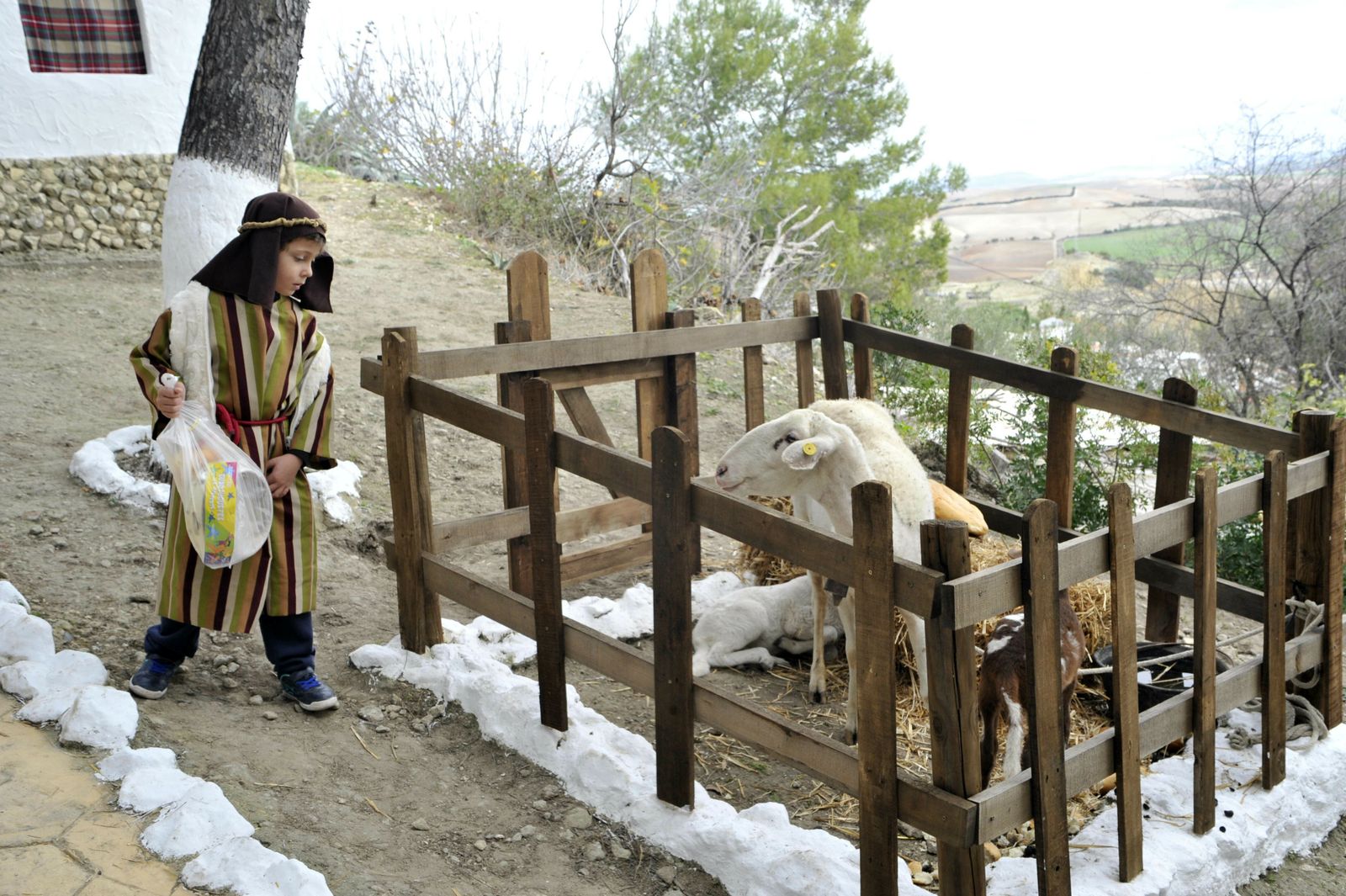 Belen Viviente de Espera