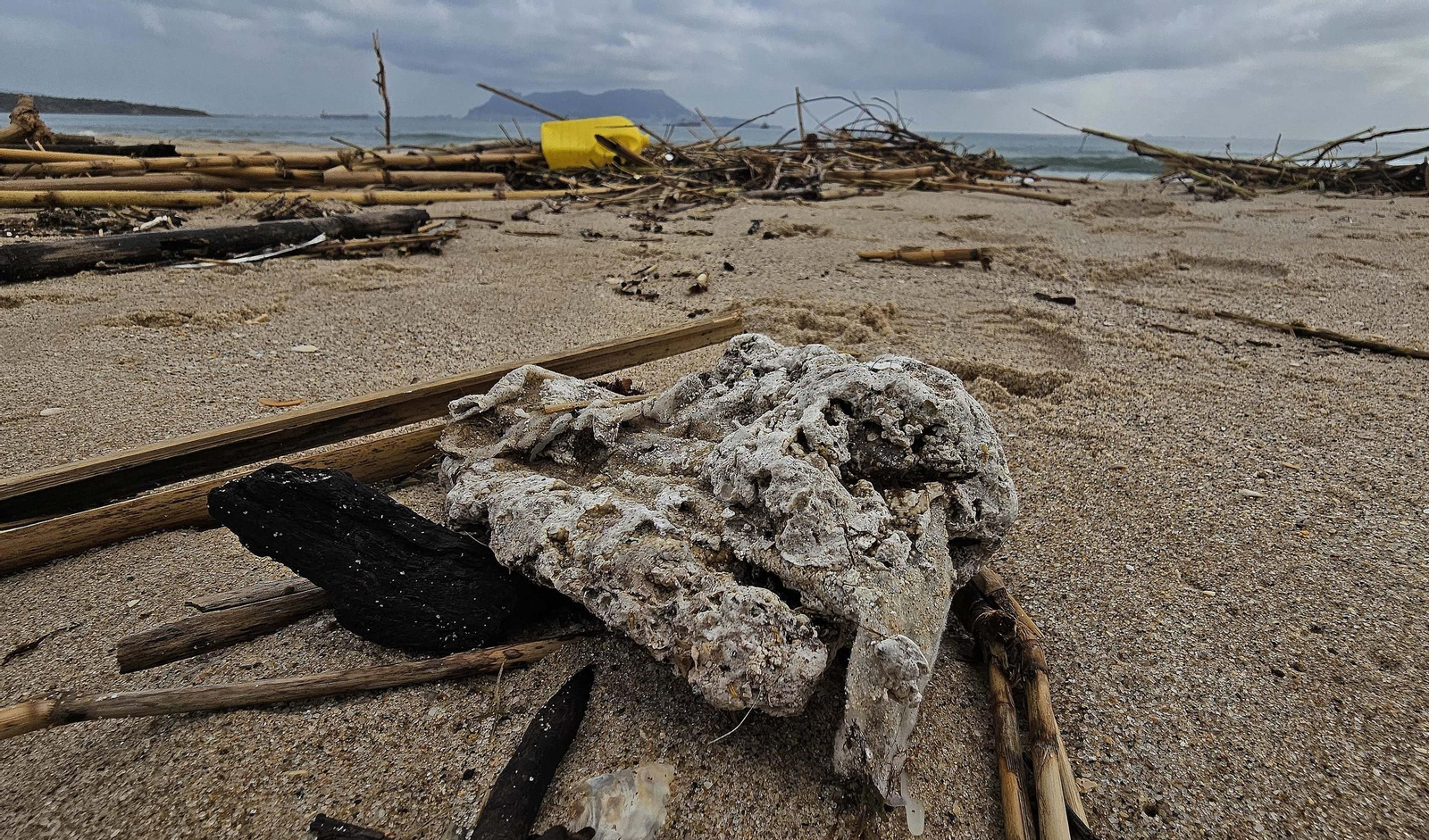 Fotos de la limpieza de las bolas blancas en la playa de Getares en Algeciras