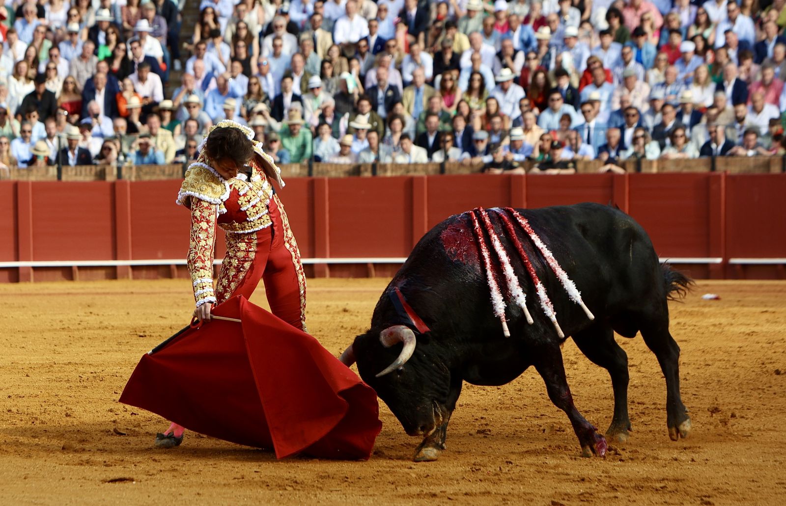 Las mejores imágenes de la corrida de toros de Juan Ortega, Roca Rey y Pablo Aguado
