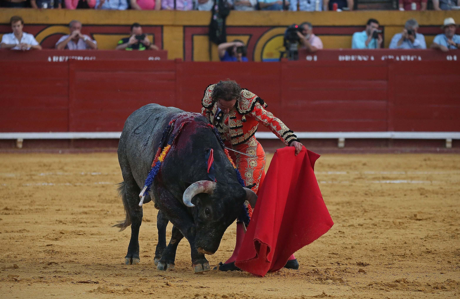 Fotos de la corrida del sábado de la Feria Taurina de Algeciras 2023: Antonio Ferrera, Manuel Escribano y Miguel Ángel Pacheco