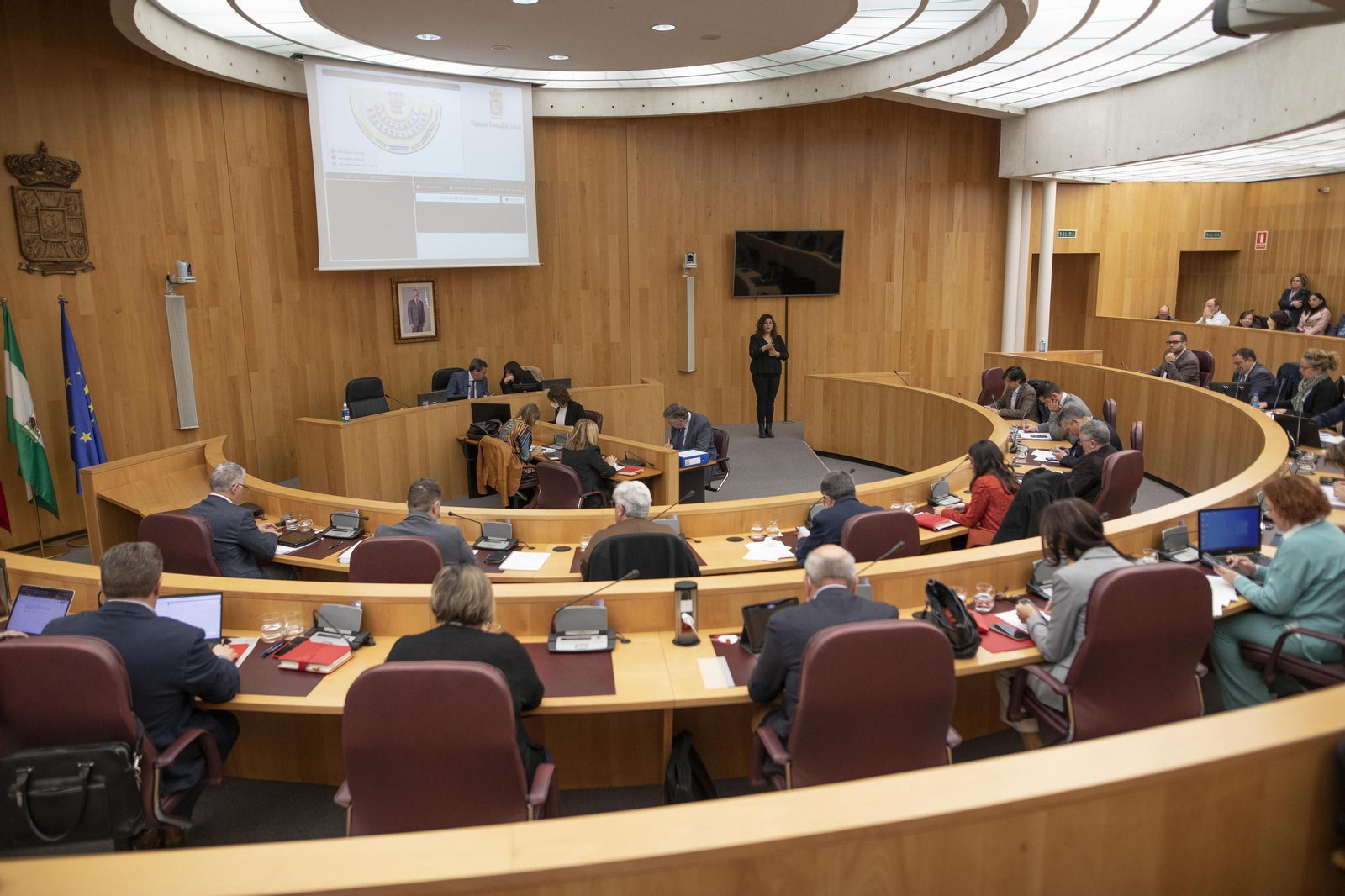 Sesión plenaria de la Diputación