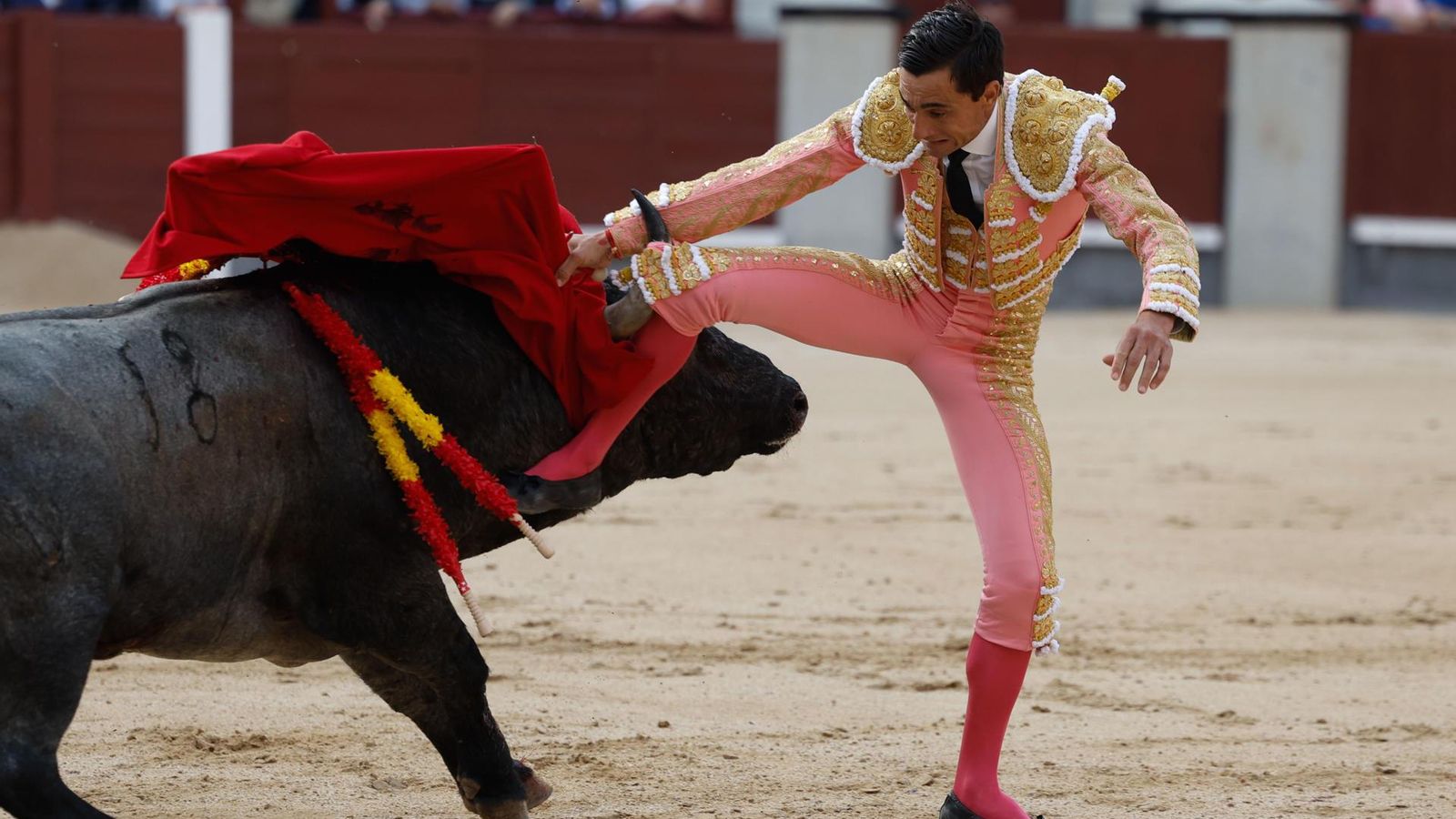 Se confiaba con la diestra Paco Ureña cuando ‘Matacanes’ lo cogía por la rodilla sin que pasase de ahí,