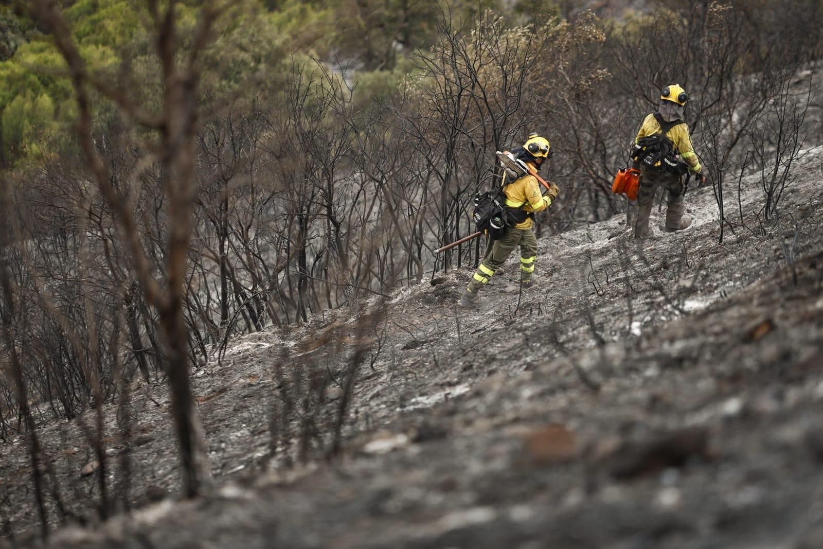 Las imágenes de la Fuente de la Bicha de Granada tras las llamas