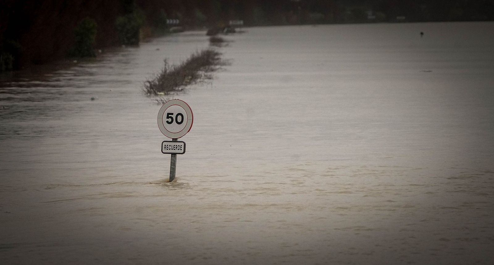 Imágenes de las graves consecuencias de la crecida del rio Guadalete en la zona rural de Jerez