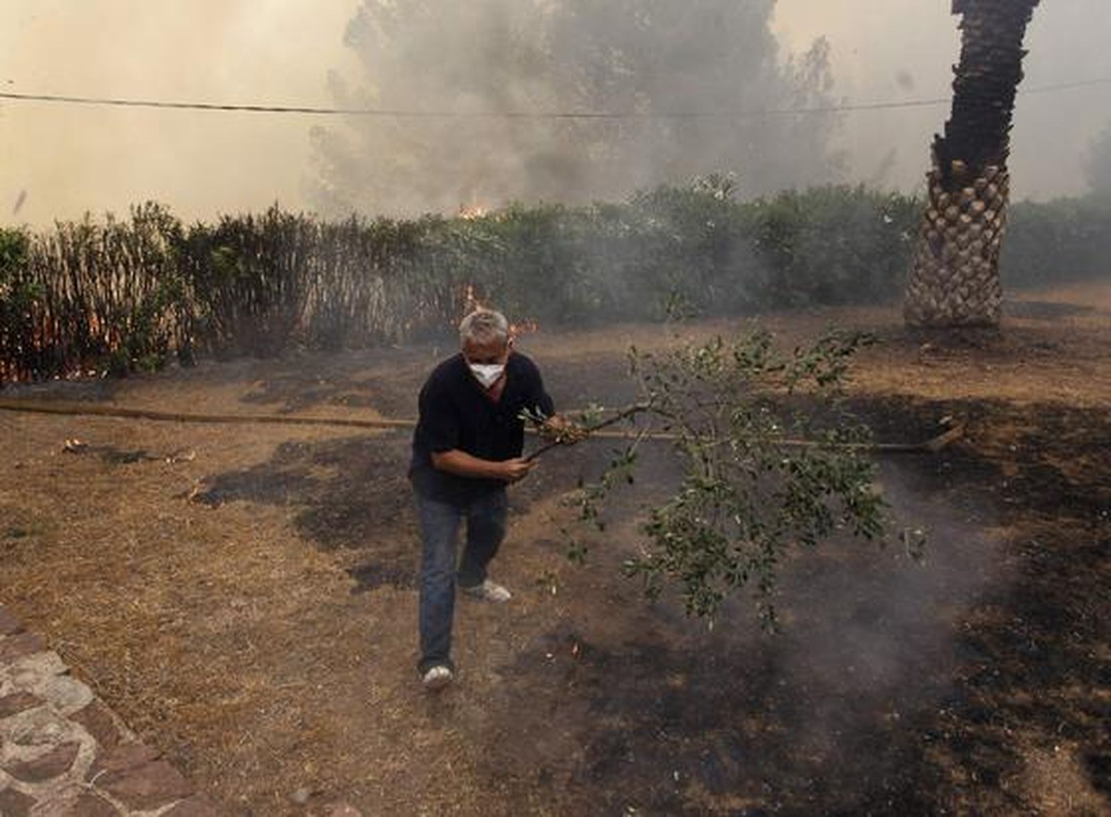 El fuego arrasa miles de hectáreas en comarcas del interior de la provincia de Valencia.

Foto: Reuters