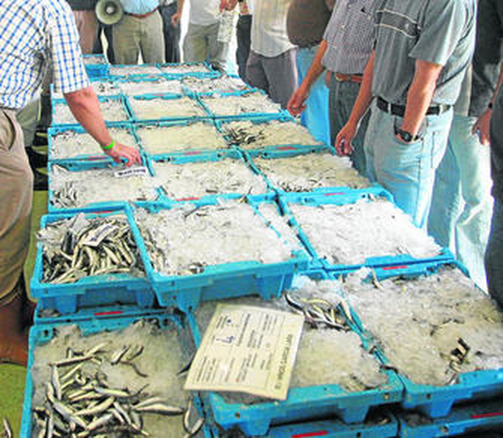 Imagen de archivo del interior de la lonja pesquera de Cádiz.